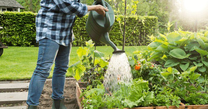 Alles over je moestuin Alles over je moestuin