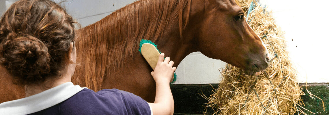 [paste advice page name here]