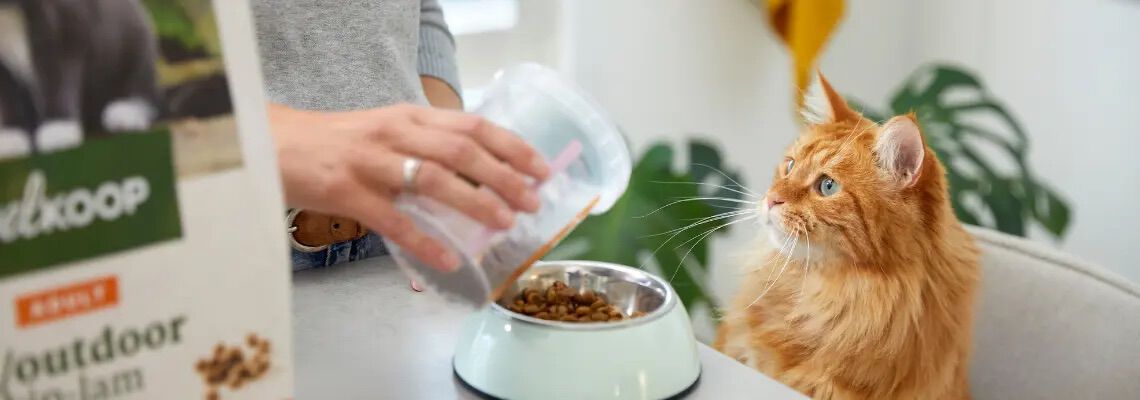 [paste advice page name here]