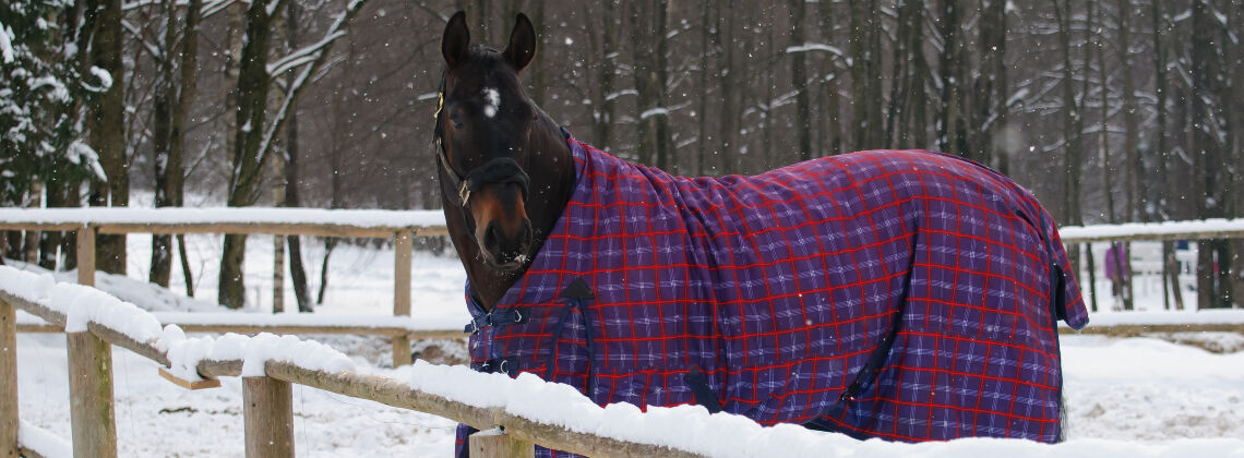 [paste advice page name here]