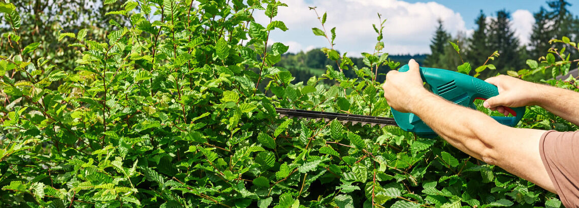 [paste advice page name here]