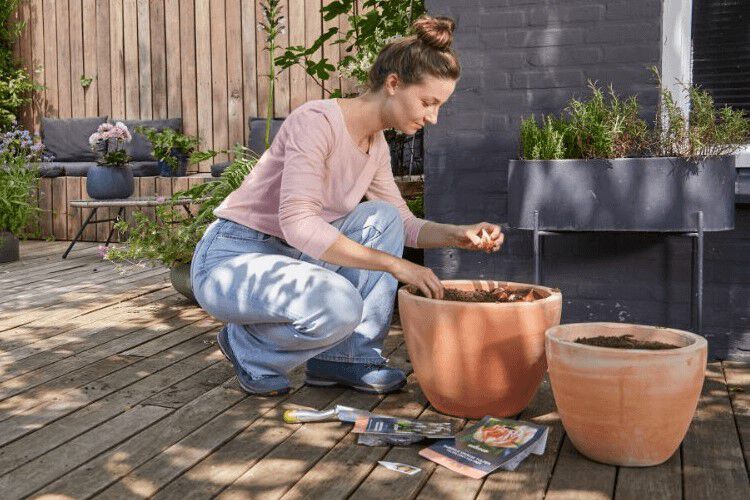Alles over je tuin
