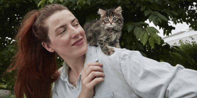 Alles over je kitten Alles over je kitten