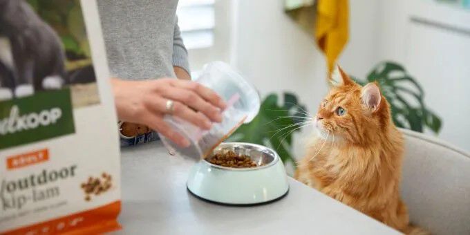 Voeding voor je kat Voeding voor je kat