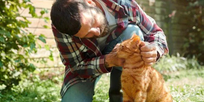 Verzorging van je kat Verzorging van je kat