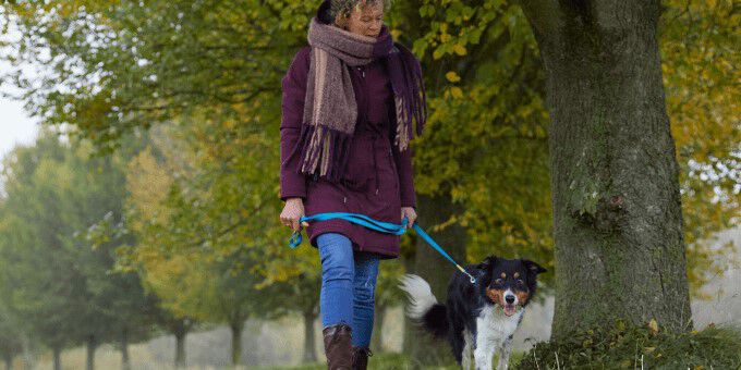Alles over kleding