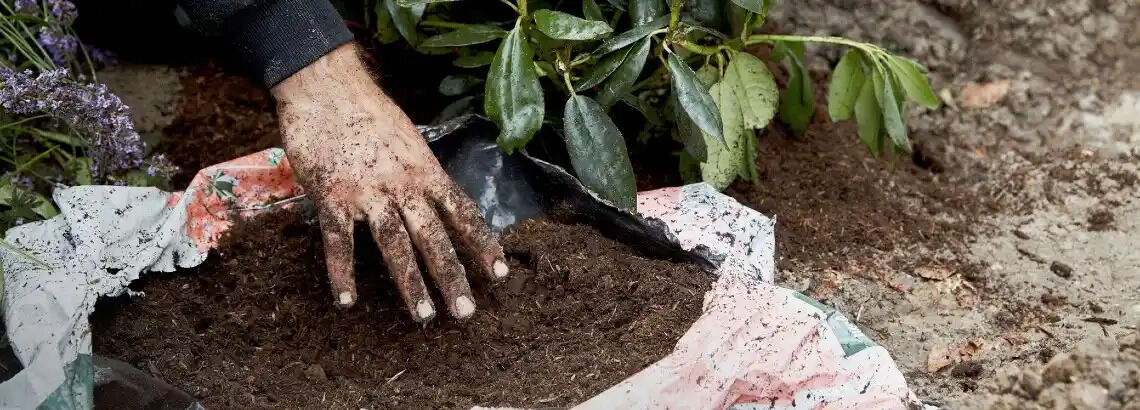 [paste advice page name here]