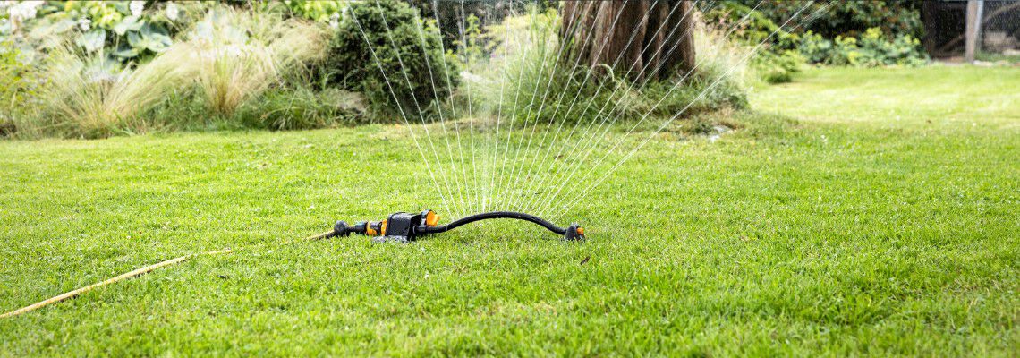 Wanneer en hoe vaak moet ik mijn gras sproeien? Wanneer en hoe vaak moet ik mijn gras sproeien?