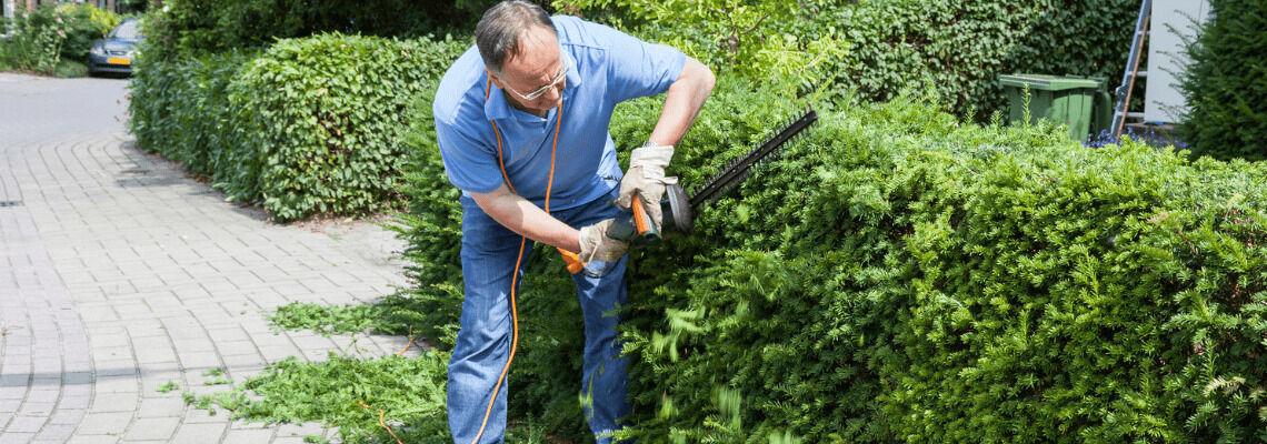 [paste advice page name here]