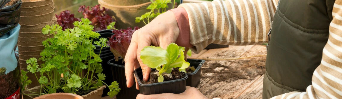 [paste advice page name here]