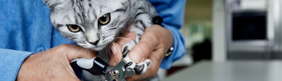 [paste advice page name here]