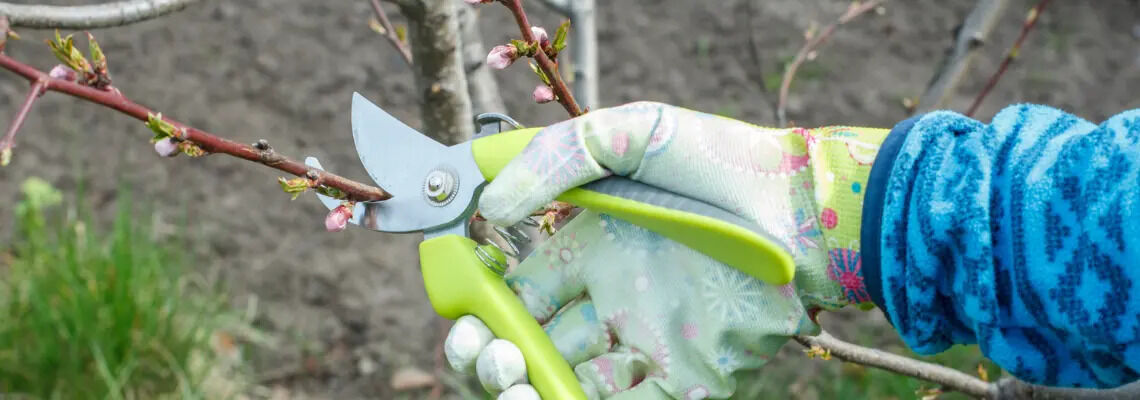 [paste advice page name here]