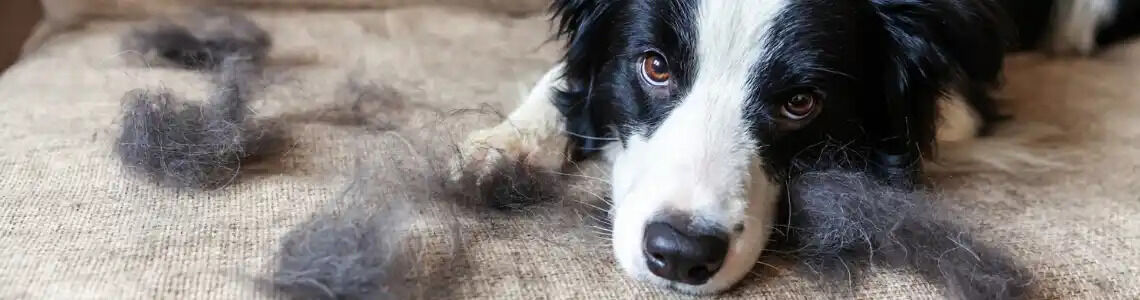 [paste advice page name here]