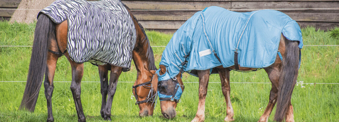 [paste advice page name here]