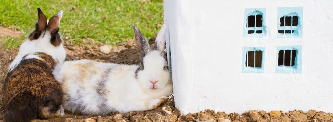 [paste advice page name here]