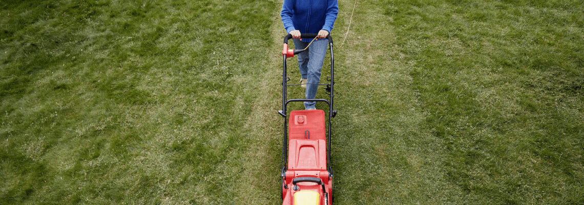 [paste advice page name here]