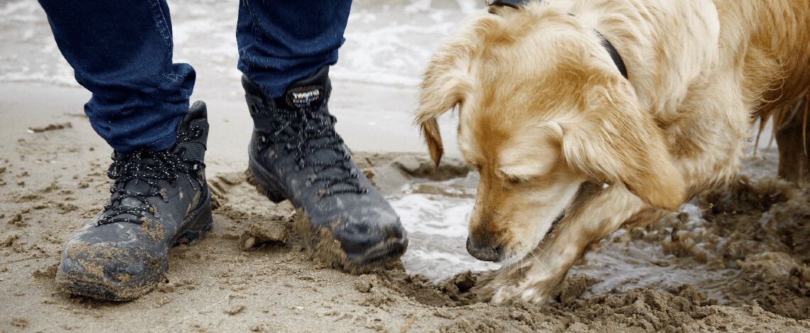 [paste advice page name here]