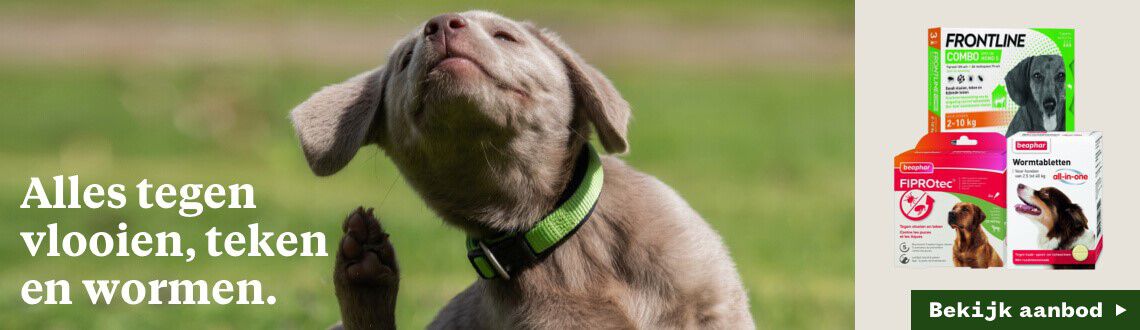 Producten teken,vlooien,wormen welkoop