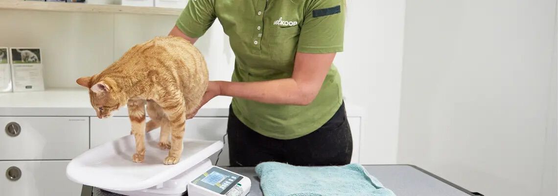 [paste advice page name here]