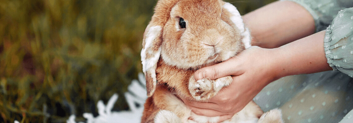 [paste advice page name here]