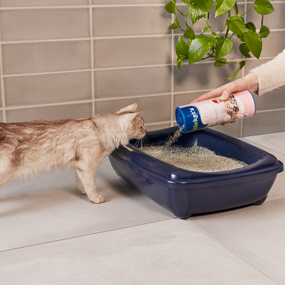 Biokat's Deo Pearl Spring - Kattenbak verfrisser - Lente