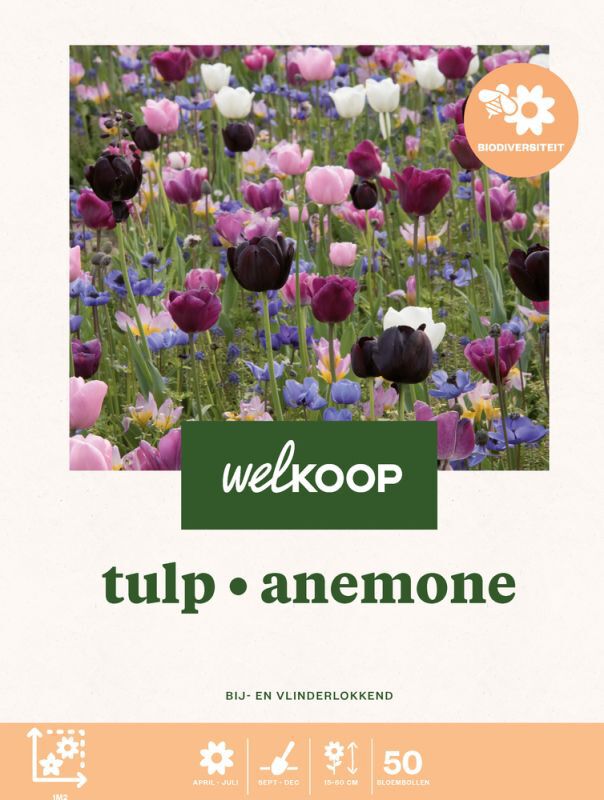 Welkoop Tulp Anemone Biodiversiteit - Bloembollen Welkoop Tulp Anemone Biodiversiteit - Bloembollen