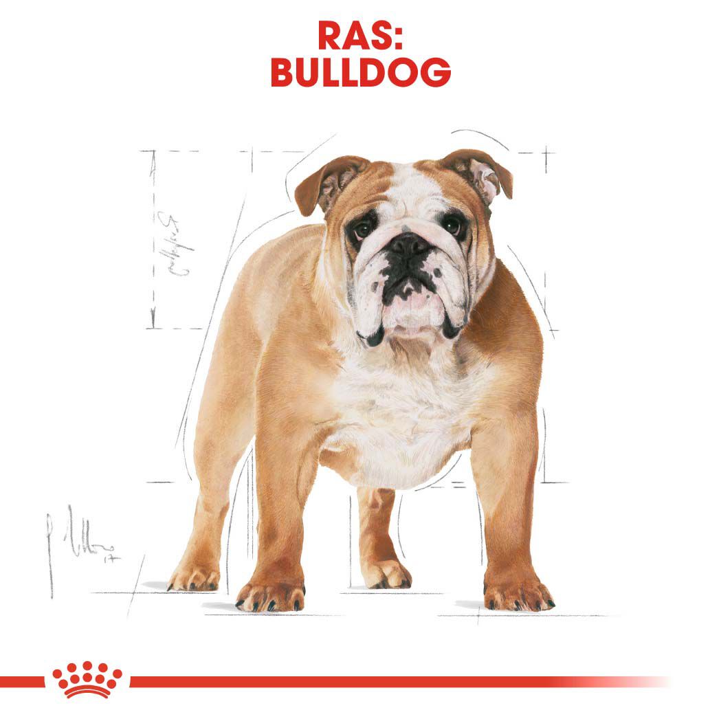 Royal Canin BHN Bulldog - Hondenvoer - 12 - gevogelte