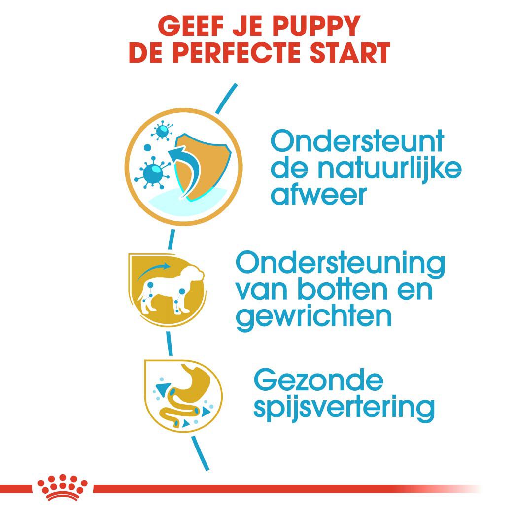 Royal Canin BHN Dachshund Puppy - Hondenvoer - 1500 - gevogelte