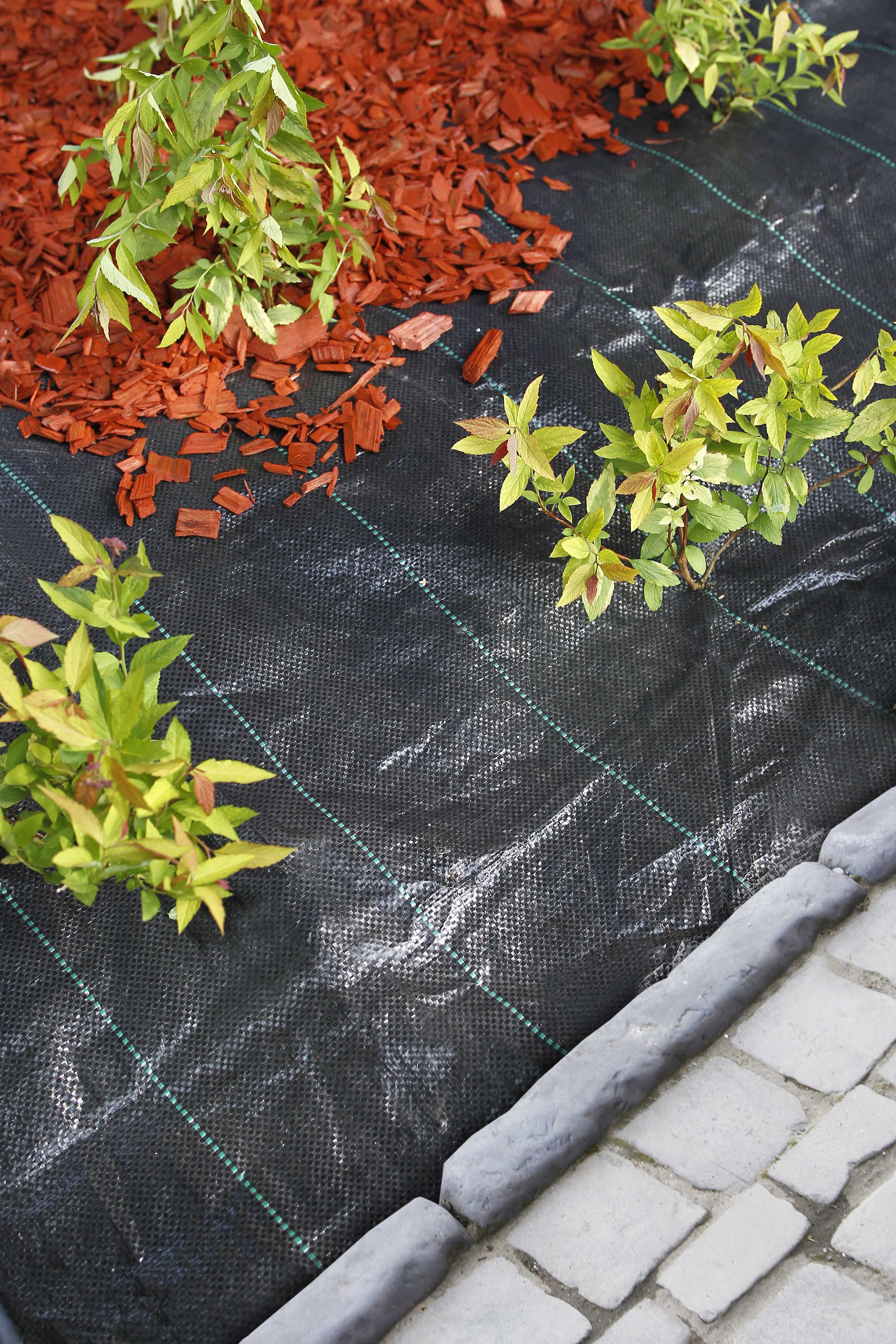 Nature - Gronddoek