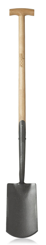 Welkoop  - Spade Welkoop  - Spade