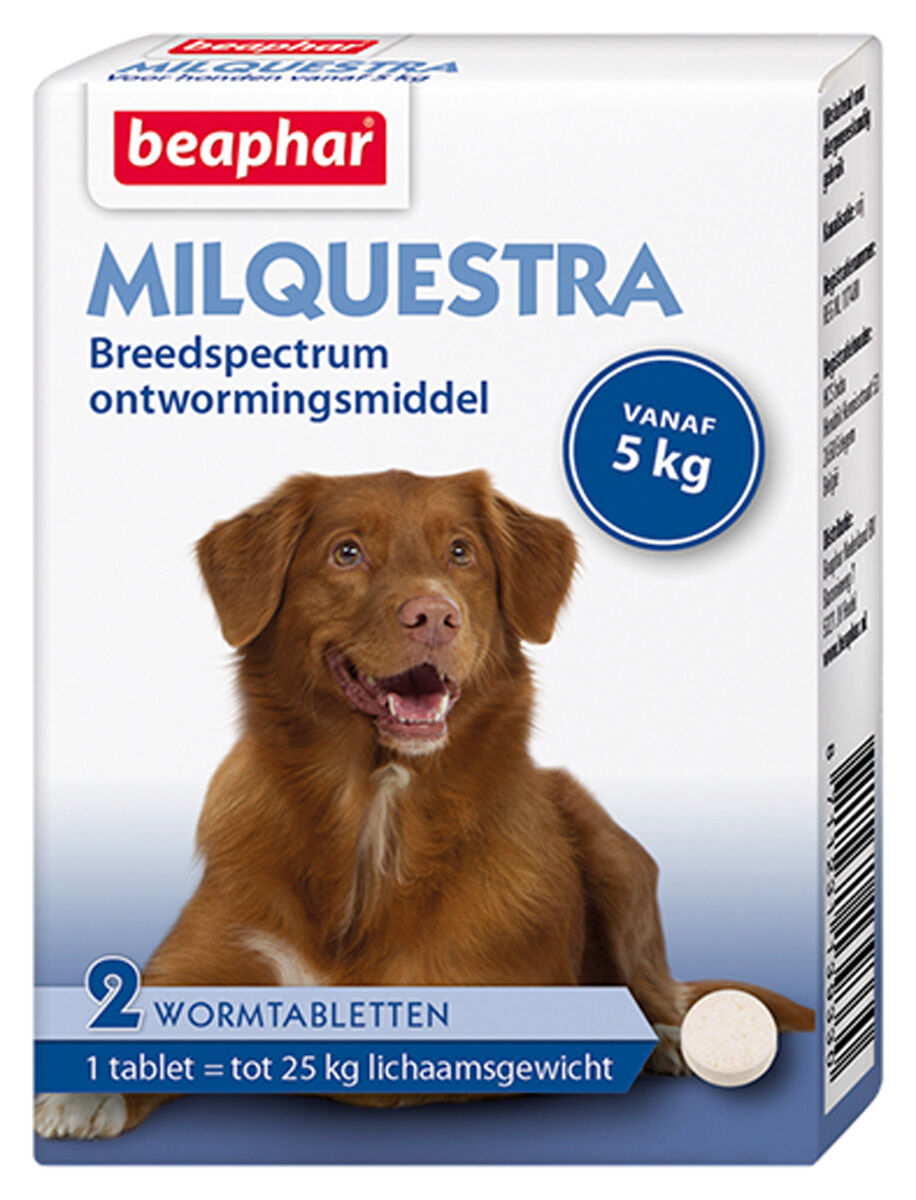 Beaphar Milquestra Hond 5-10kg - Wormenmiddel