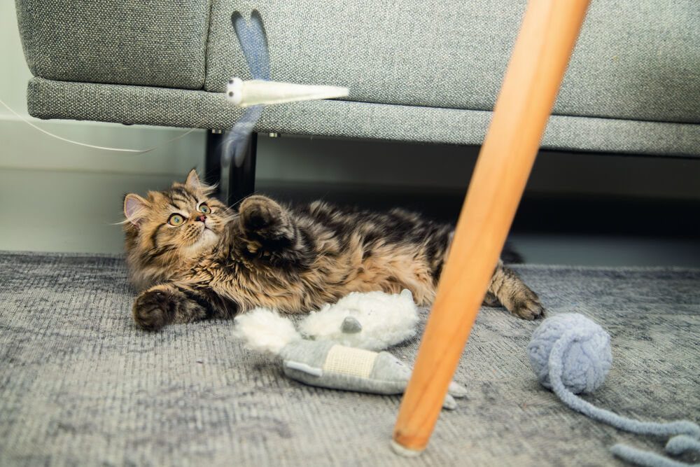 Beeztees Bal Isar - Kattenspeeltje