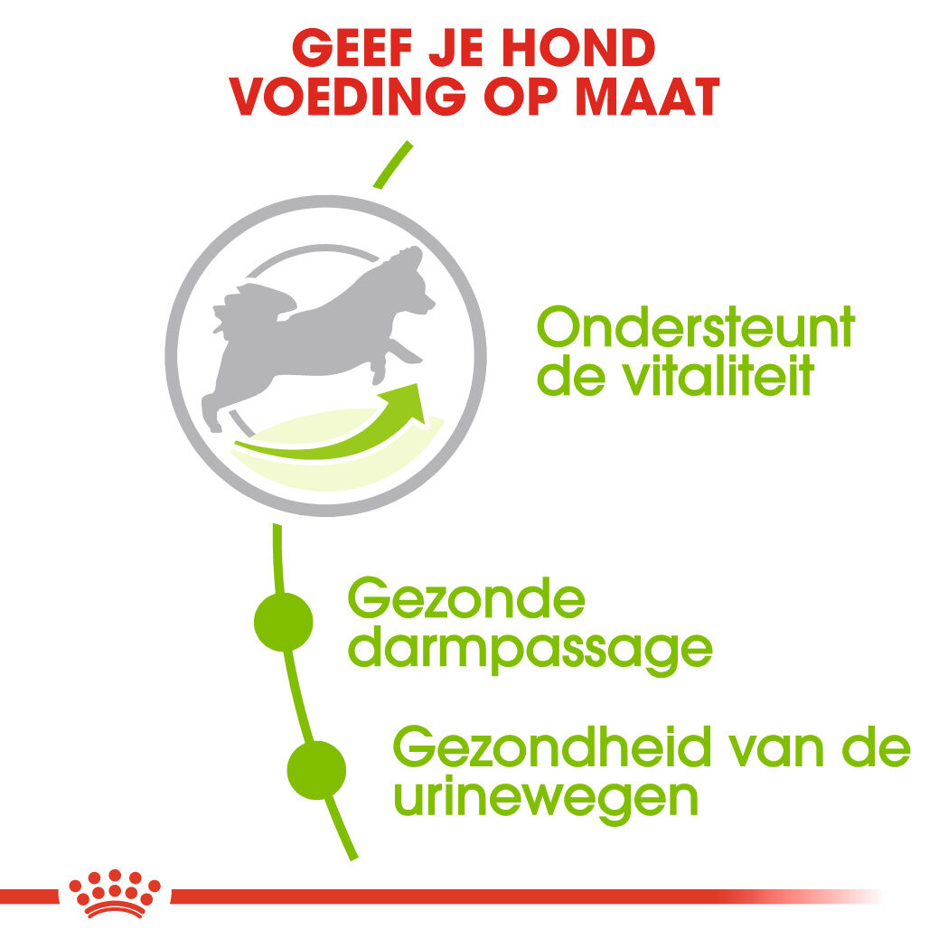 Royal Canin X-Small Adult 8+ - Hondenvoer - 1.5 - gevogelte