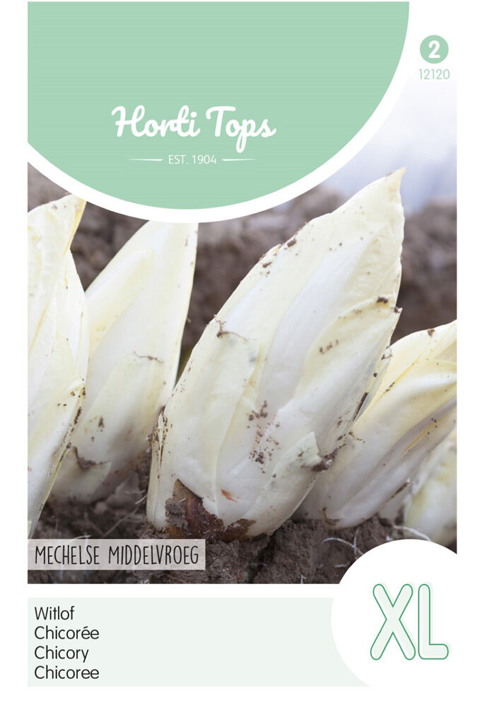 Hortitops Witlof Cichorium intybus Brusselse Mechelse Middenvroeg - Groentezaden Hortitops Witlof Cichorium intybus Brusselse Mechelse Middenvroeg - Groentezaden