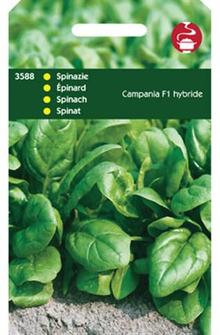 Hortitops Spinazie Spinacia oleracea Campania F1 - 50 Gram - Spinazie Hortitops Spinazie Spinacia oleracea Campania F1 - 50 Gram - Spinazie