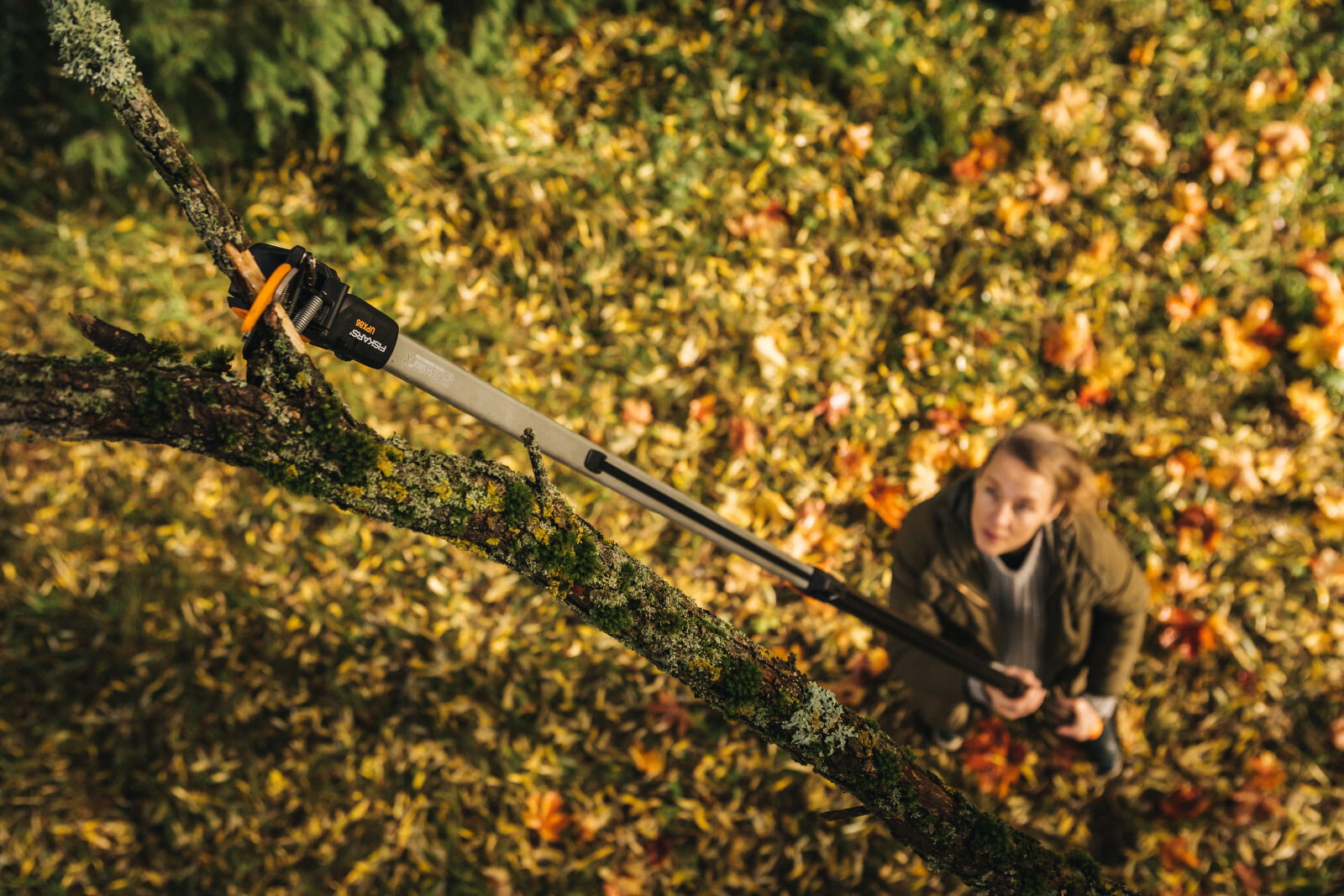 Fiskars UPX86 - Snoei-giraffe met boomzaag - Reikwijdte ca. 6 Meter