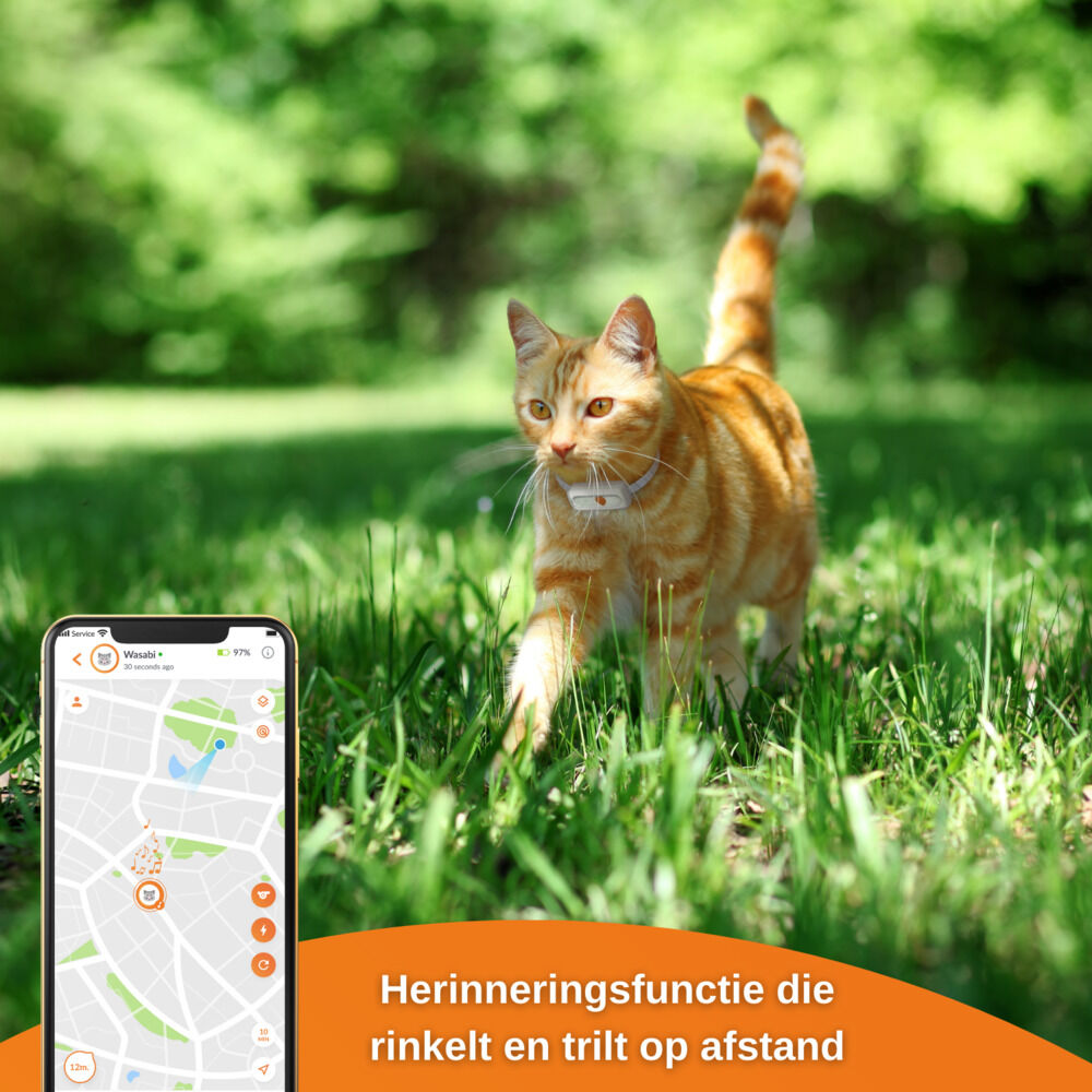 Weenect XS - GPS Tracker Kat - 12.30 cm - Wit/Oranje - 6.00 cm - 3.00 cm