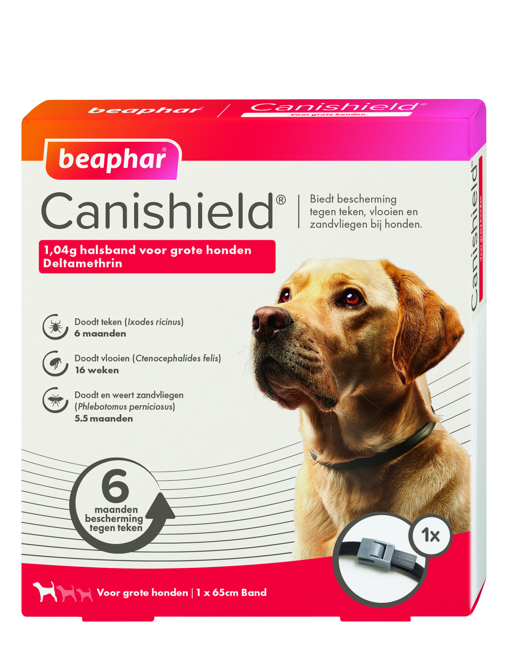 Beaphar Canishield - Anti Vlooien en Tekenband Hond - Groot - L Beaphar Canishield - Anti Vlooien en Tekenband Hond - Groot - L
