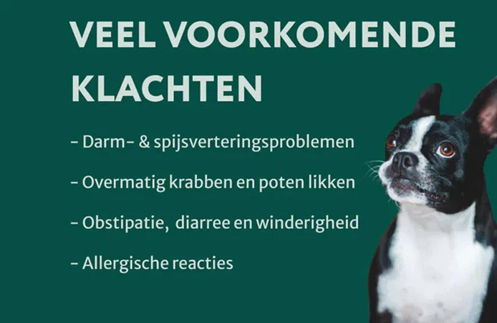 Dogsuppy Probiotica Forte kip - Spijsvertering en darmflora - kip