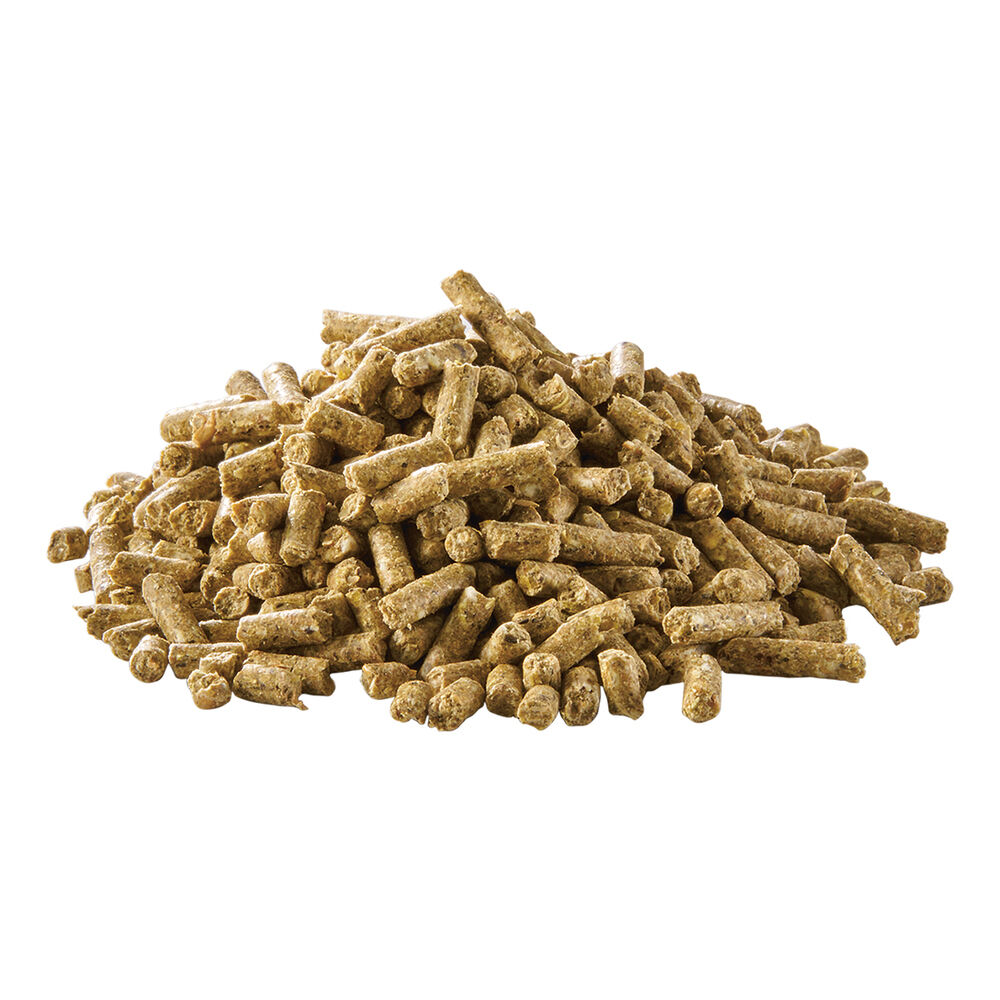 Welkoop Watervogelkorrel - Watervogelvoer - 20 kg