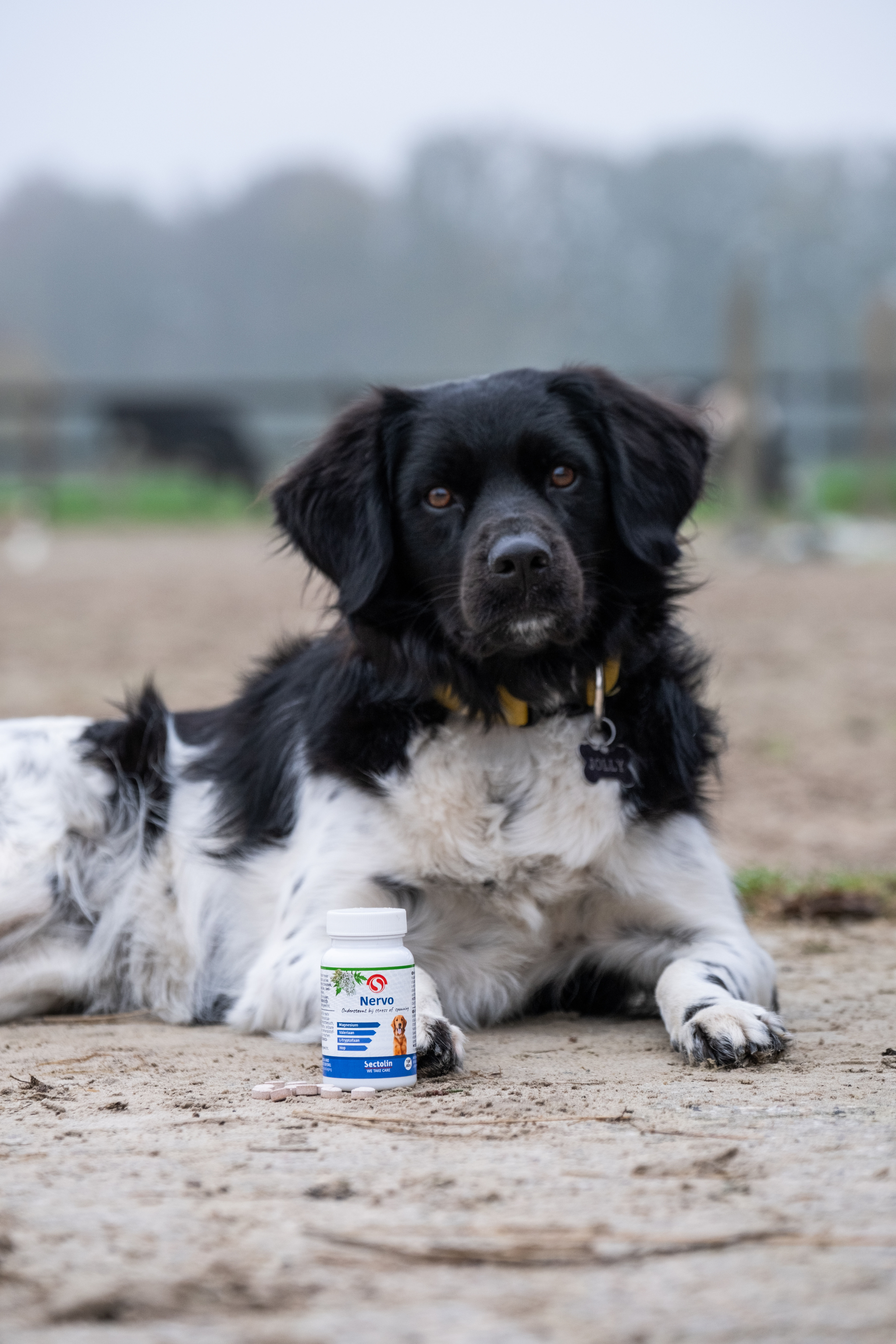 Sectolin Nervo - Kalmeringsmiddel  Hond - 100 - Pot