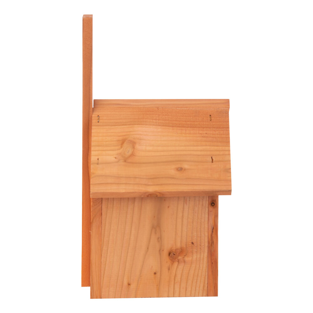 Welkoop Nestkast Pimpelmees - 33.00 cm - Hout - 19.00 cm - 26.00 mm - 18.00 cm