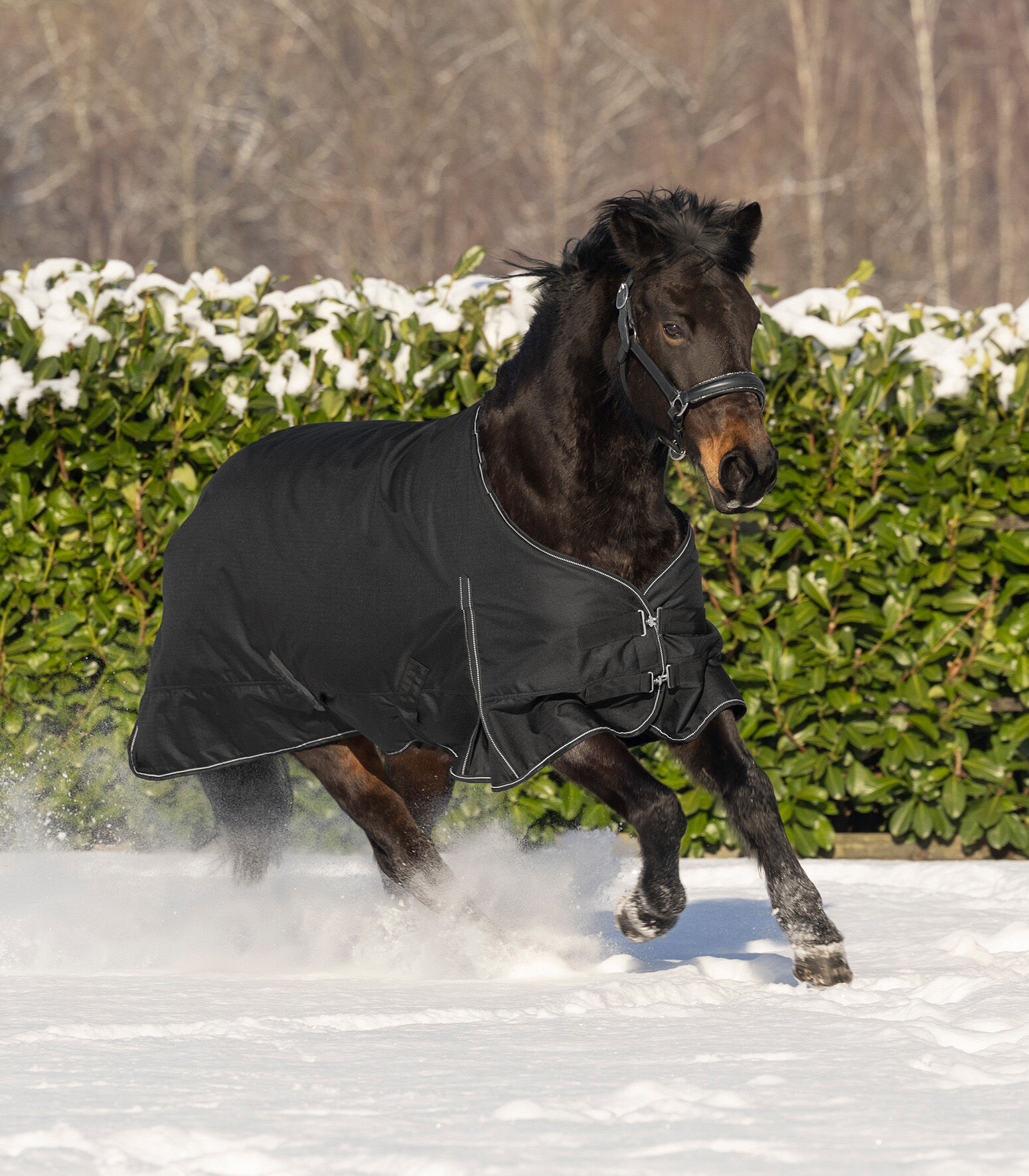 Waldhausen Nordic 300 gr - Winterdeken - Paardendeken - 1.00 cm - Zwart - 1.00 cm - 105/155 - 1.00 cm