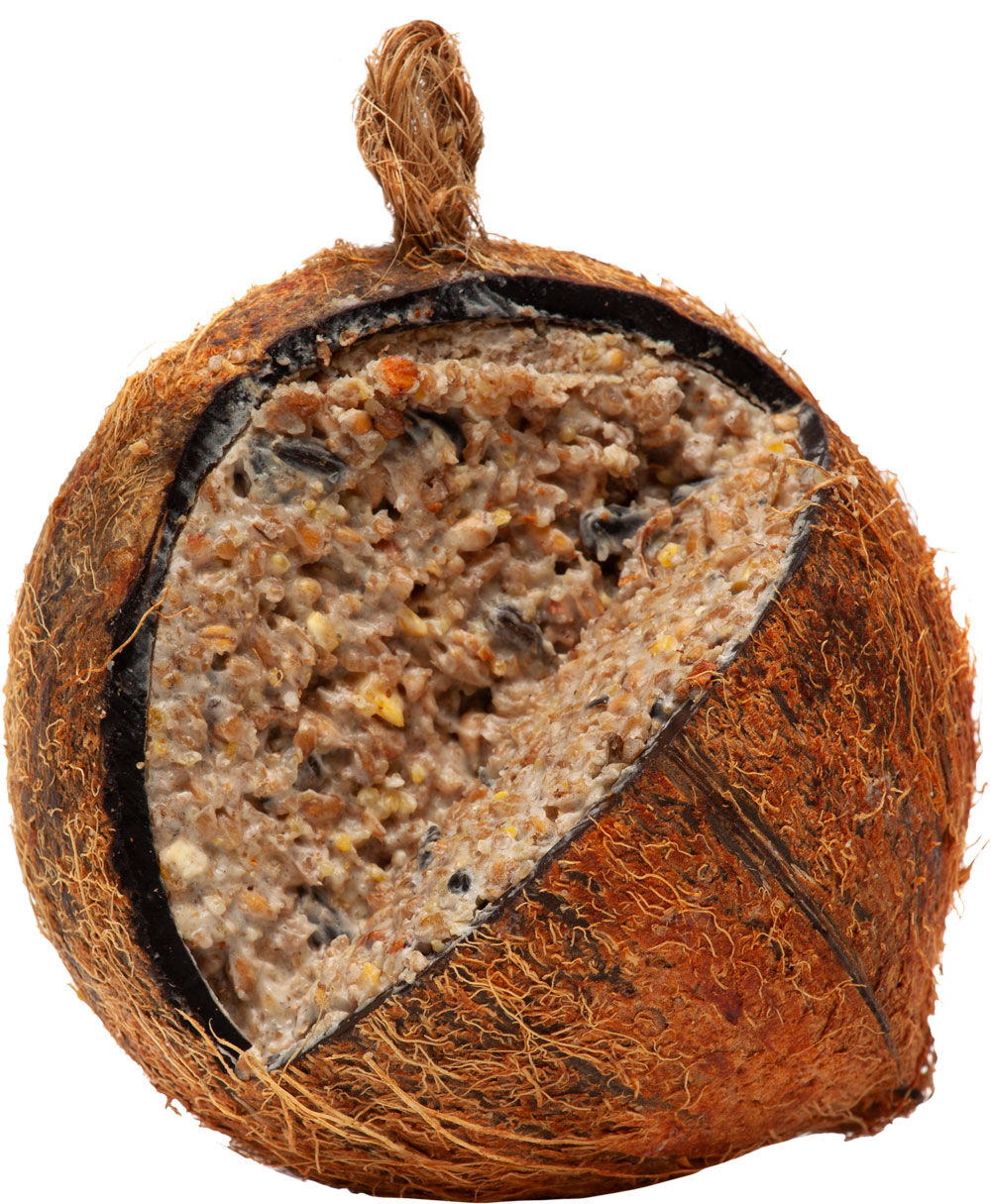 Welkoop Gevulde kokosnoot - Tuinvogelvoer - 13.00 cm - 380.00 - 10.50 cm - 11.00 cm