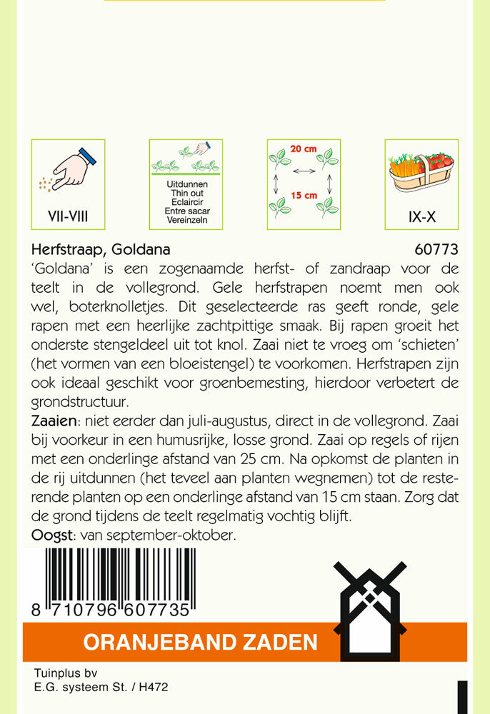 Oranjeband zaden Rapen Goldana - Groentezaden