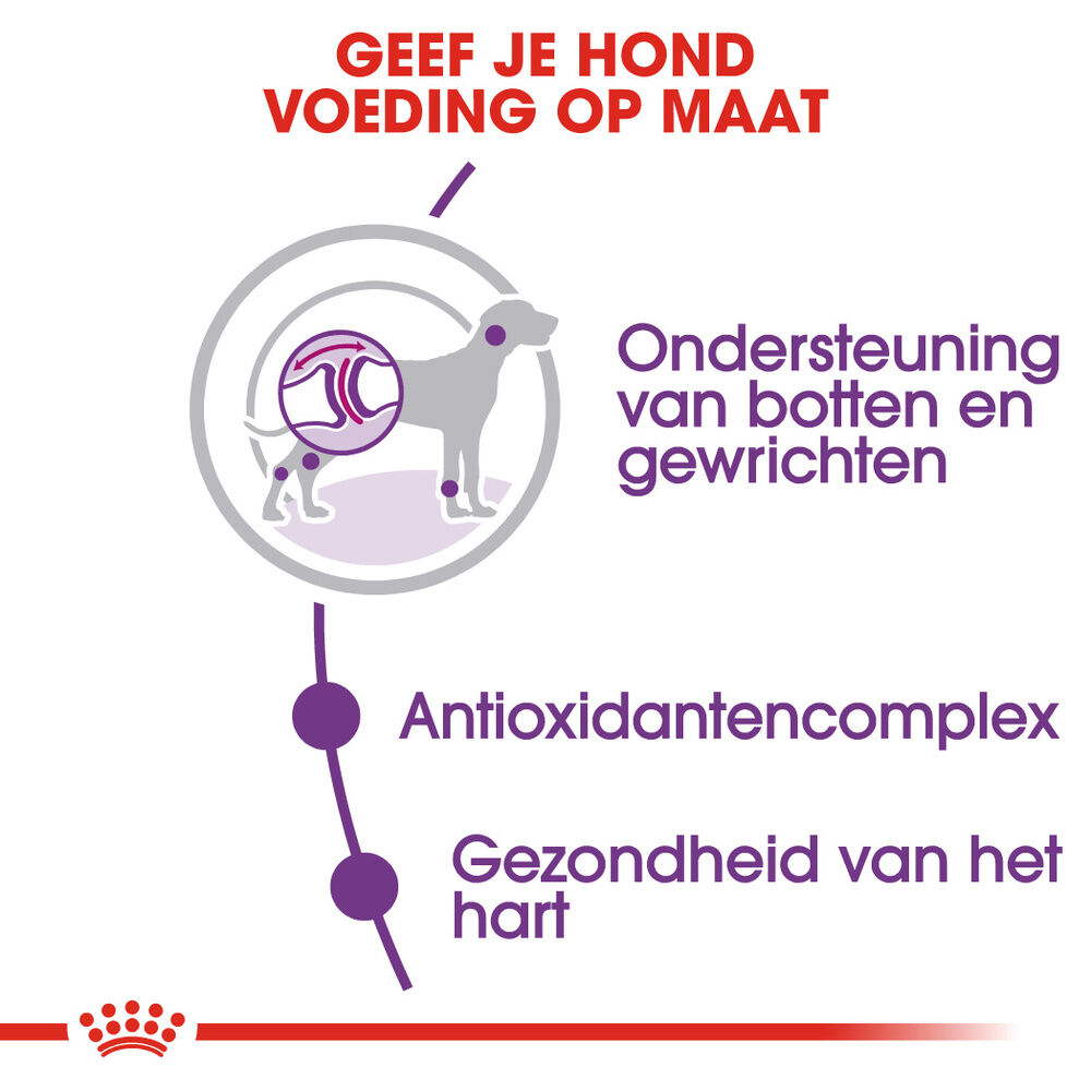 Royal Canin SHN Giant Adult - Hondenvoer - 15 - gevogelte