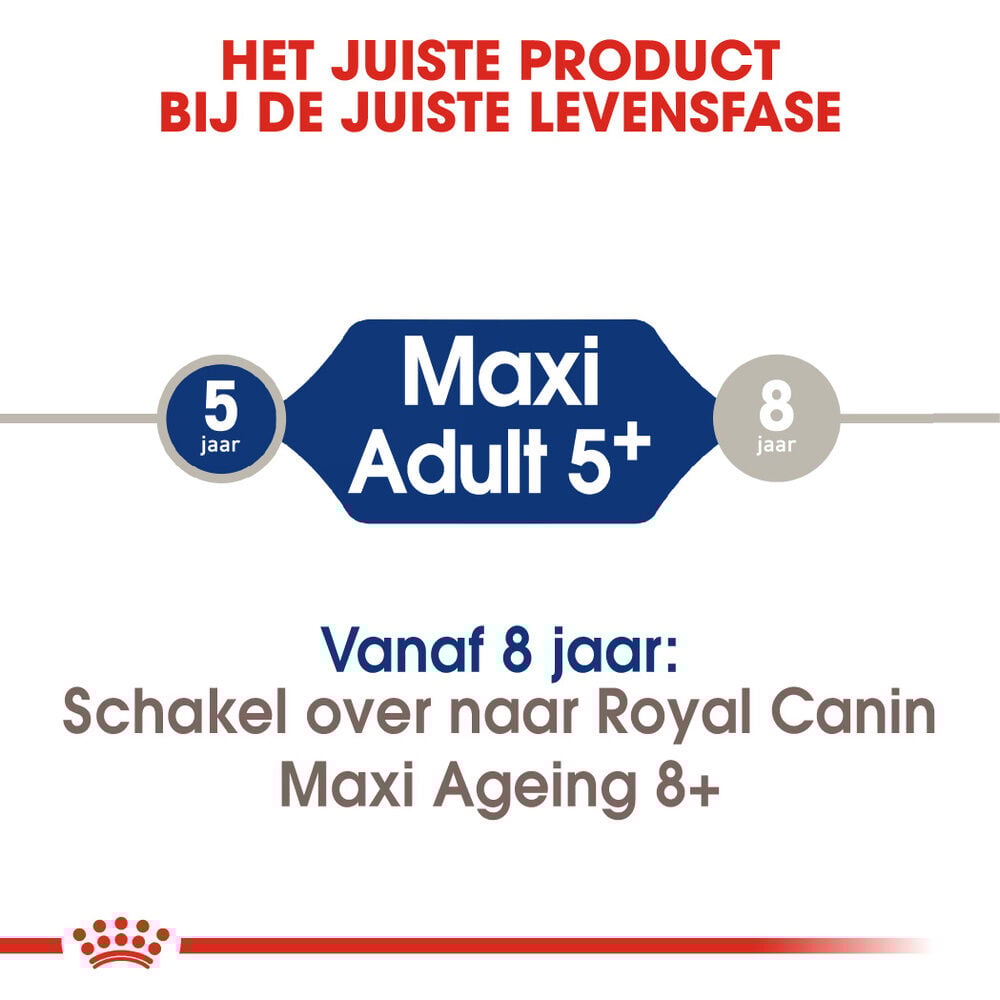 Royal Canin SHN Maxi Adult 5+ - Hondenvoer - 4 - gevogelte