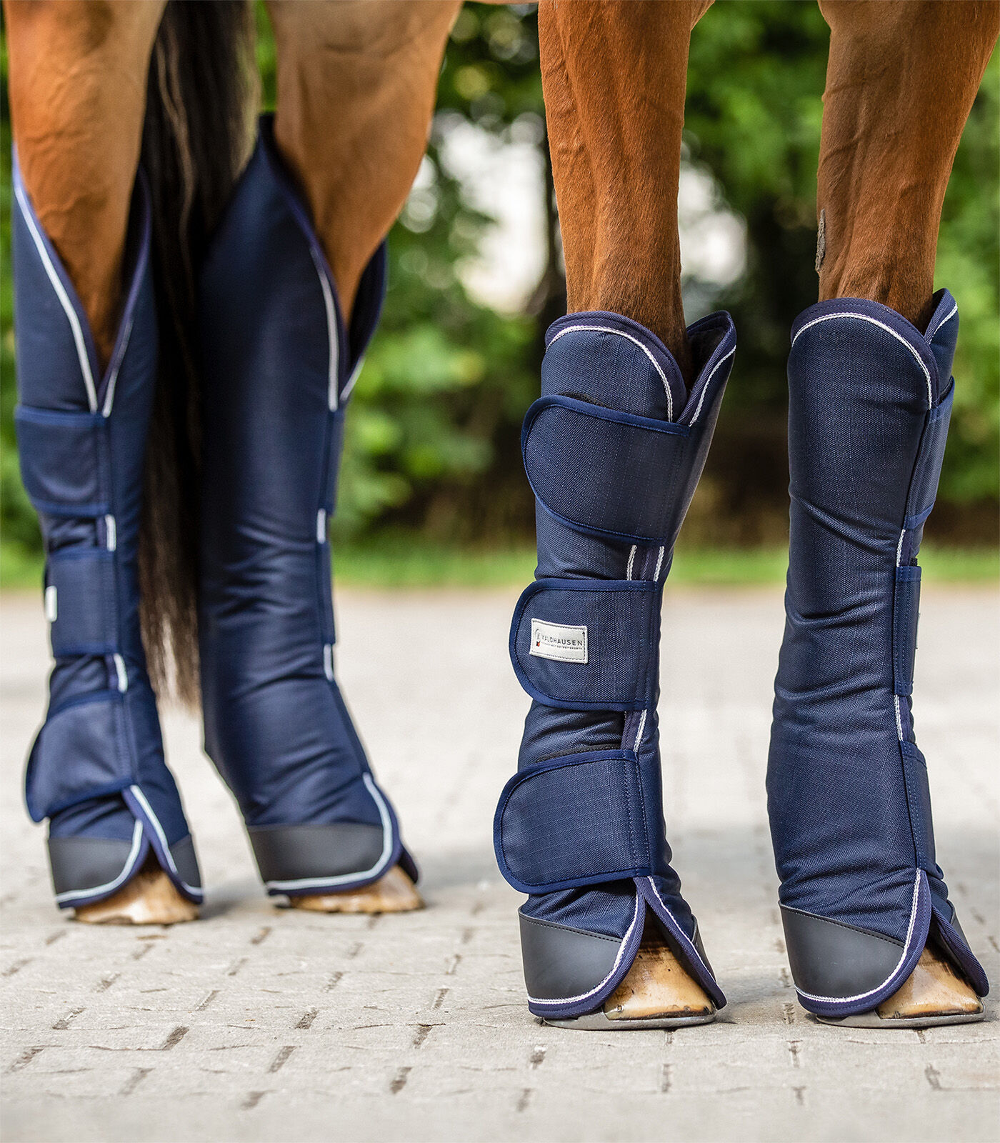 Waldhausen Comfort - Transportbeschermer - Blauw - Pony