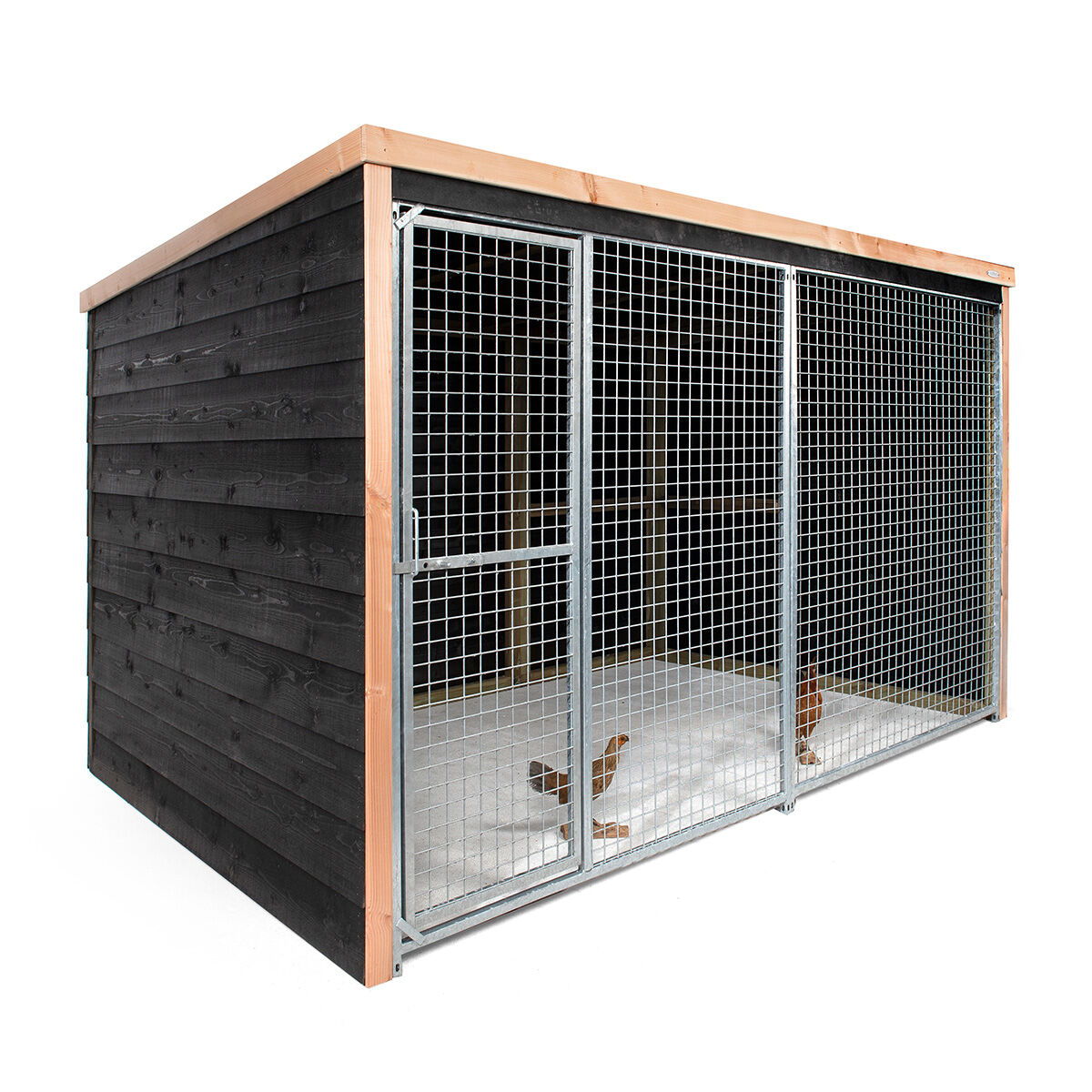 Voldux  Dirk - Kippenren