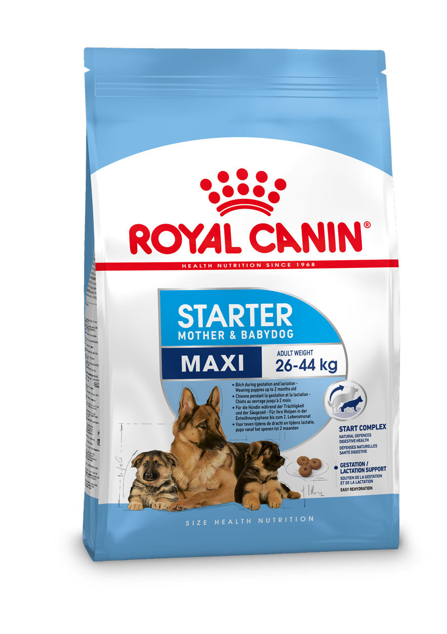 Royal Canin Maxi Starter Mother and Babydog - Hondenvoer - 15 - gevogelte Royal Canin Maxi Starter Mother and Babydog - Hondenvoer - 15 - gevogelte